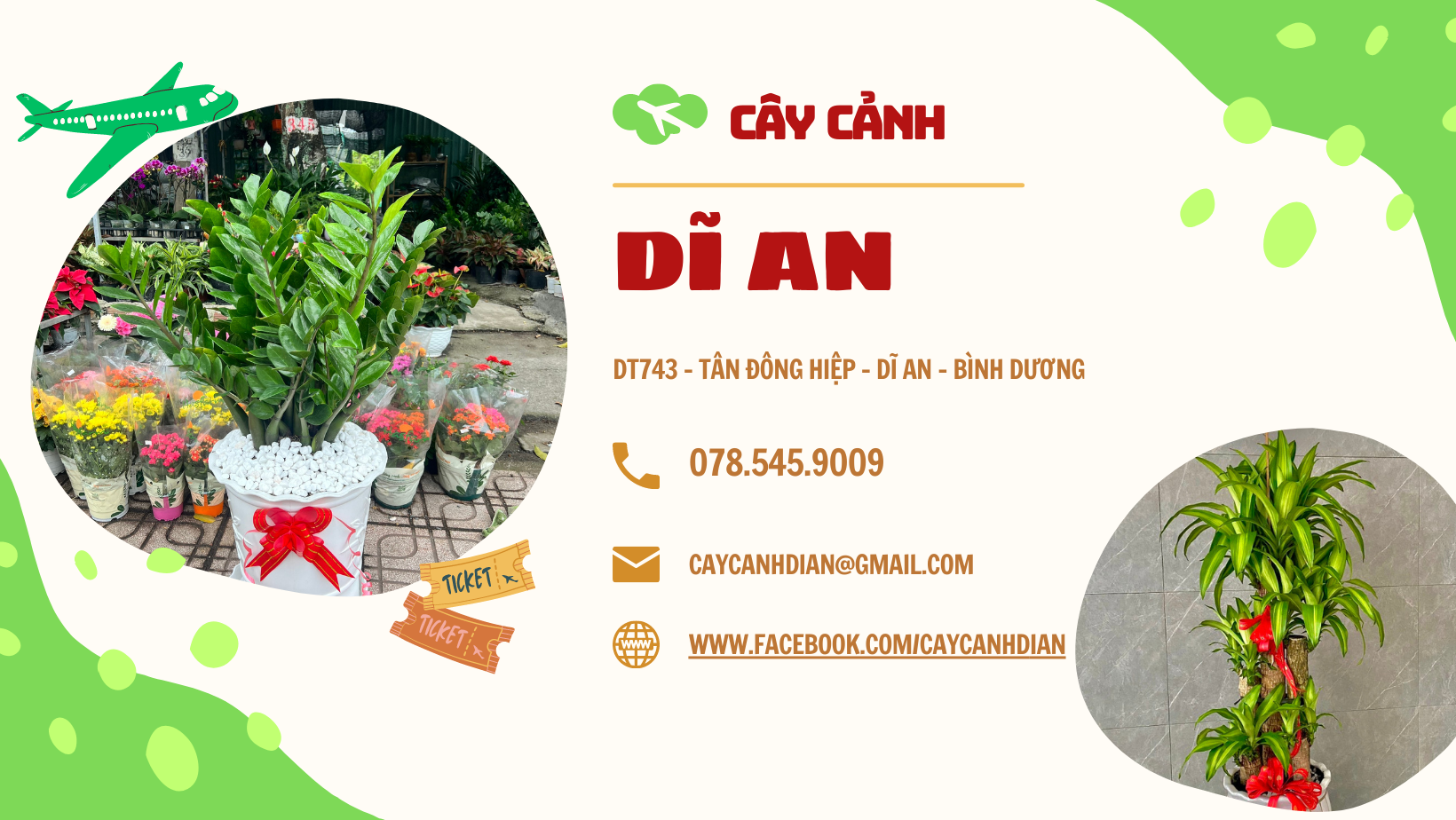 Cây Cảnh Dĩ An chuyên cung cấp các loại hoa cây cảnh với giá tốt !!!