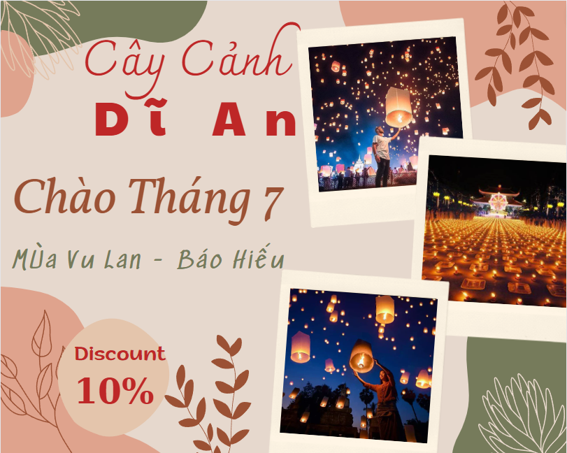 Cây Cảnh Dĩ An chuyên cung cấp các loại hoa cây cảnh với giá tốt !!!